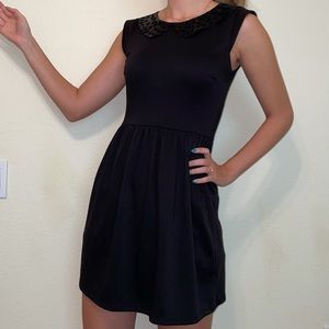 Sequined Collar Little Black Dress